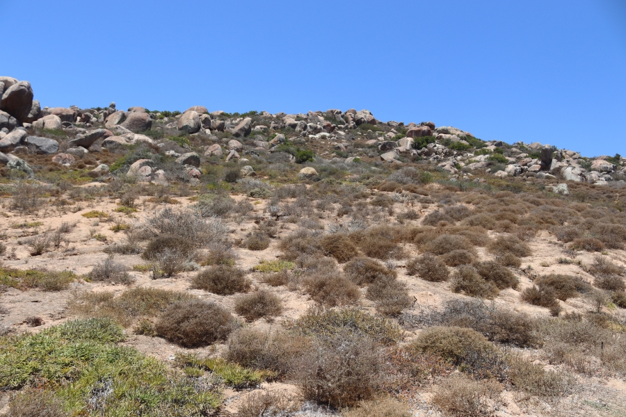 0 Bedroom Property for Sale in St Helena Views Western Cape